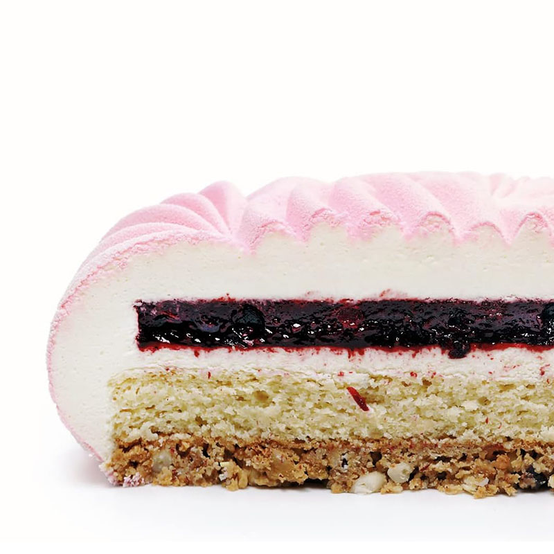 Round Mousse Cake Pan For Baki - Kitchen Appliances On Sale ulasan dan harga